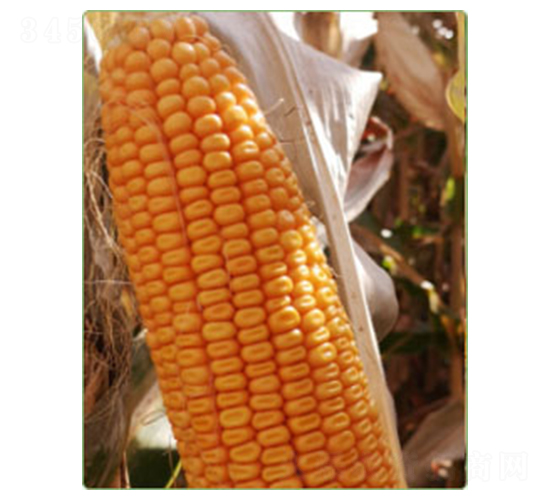 ����829-��������-������ҵ