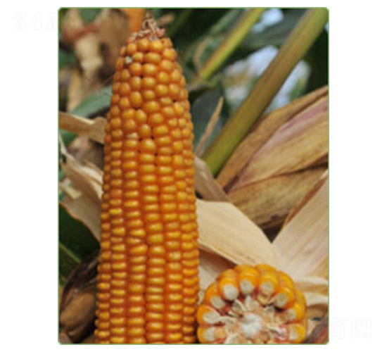KWS6333-��������-������ҵ