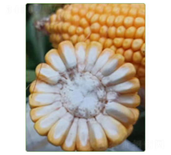 ����812-��������-������ҵ