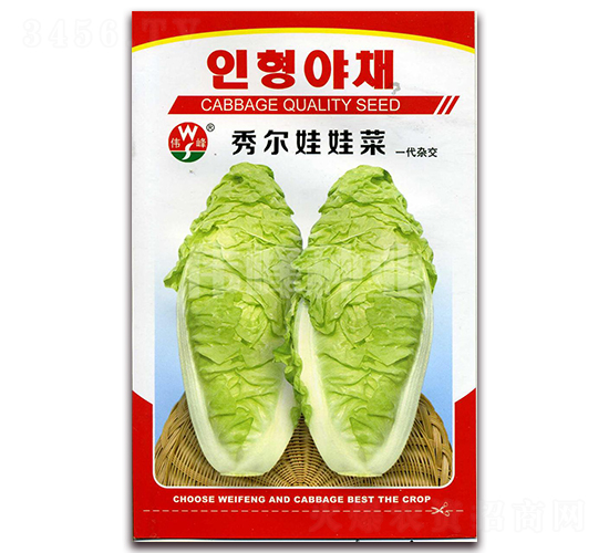 ������޲�-���޲�����-ΰ����ҵ