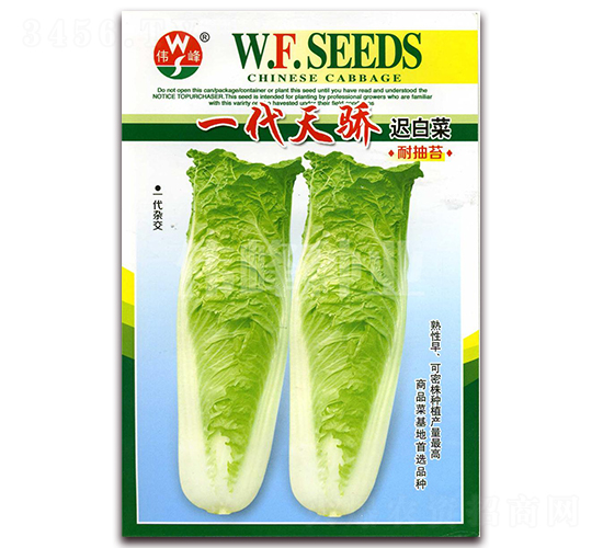 һ���콾�ٰײ�-�ײ�����-ΰ����ҵ