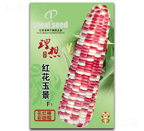 �컨��-Ŵ��������-����ũҵ