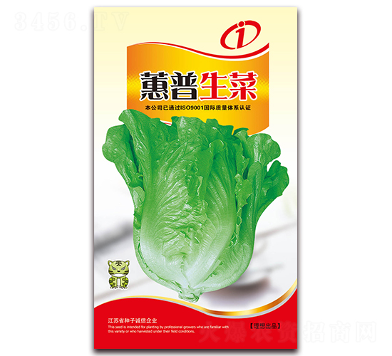 ޥ������-��������-����ũҵ