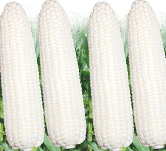 �տ�Ŵ2��-��������-��������
