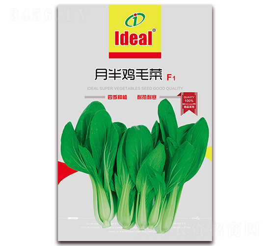 �°뼦ë��-�๣������-����ũҵ