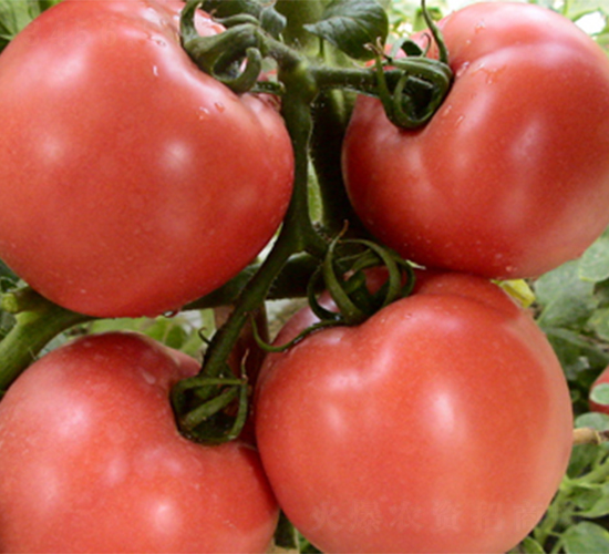 �շ�11��-��������-��������