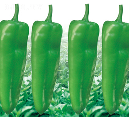 �ս�15��-��������-��������