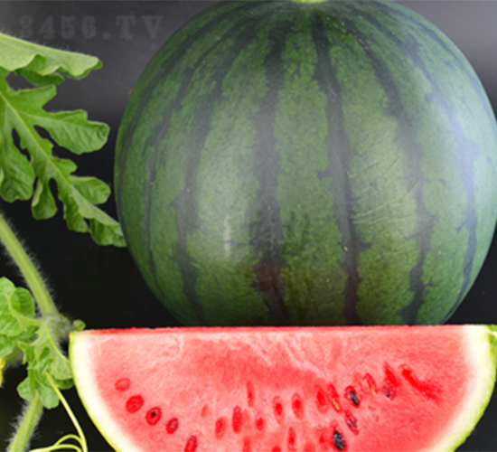 �մ�4��-��������-��������
