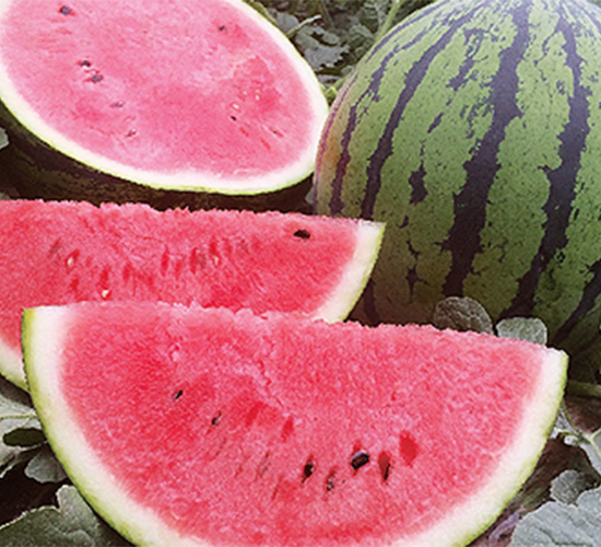 ǿ��711-��������-��������