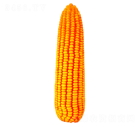 ����669-��������-������ҵ