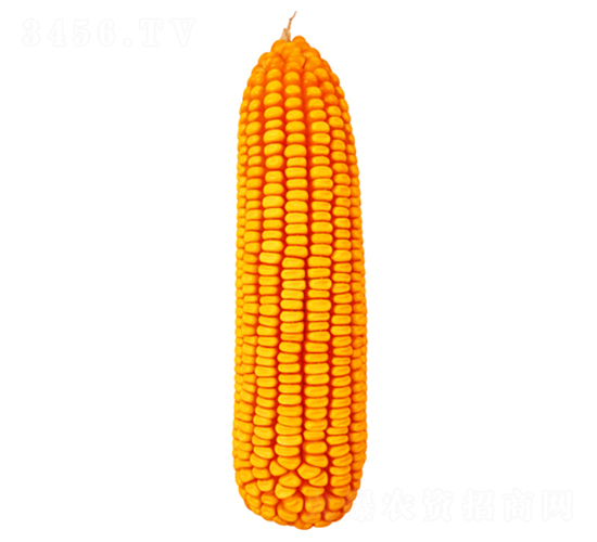 ����358-��������-������ҵ