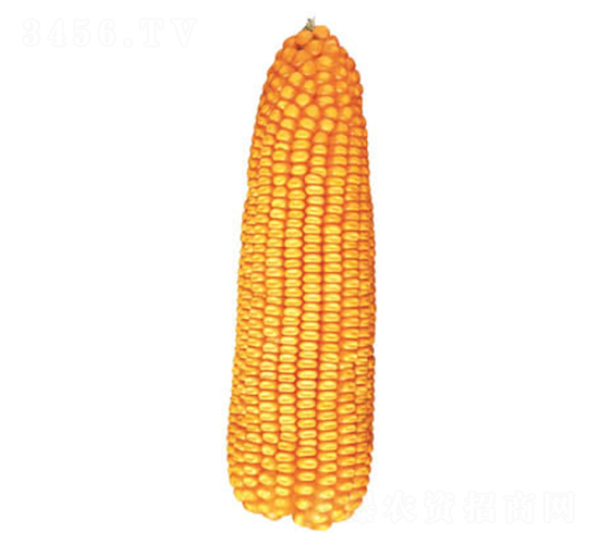 ����120-��������-������ҵ