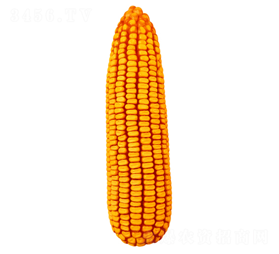 ����58-��������-������ҵ