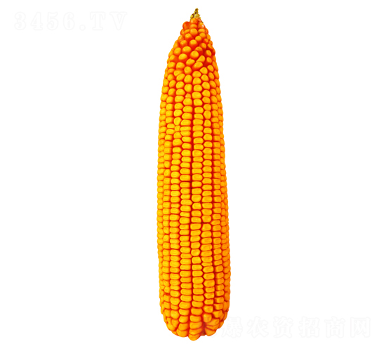 ����56-��������-������ҵ