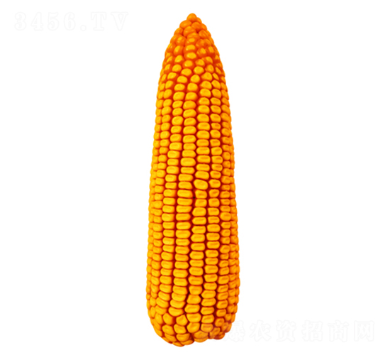 ����55-��������-������ҵ