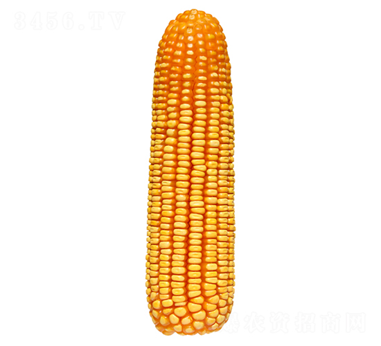 ����39-��������-������ҵ