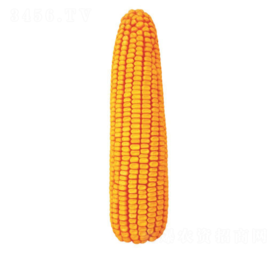 ����27��-��������-������ҵ