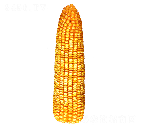 ����26��-��������-������ҵ