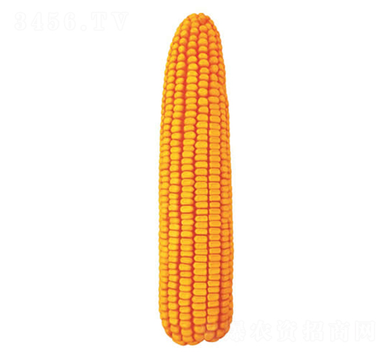 ����15��-��������-������ҵ