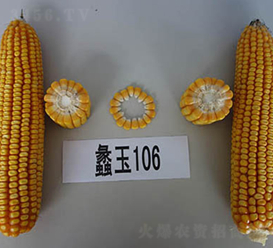 ���106-��������-���