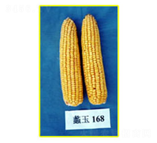 ���168-��������-���