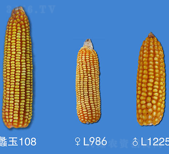 ���108-��������-���