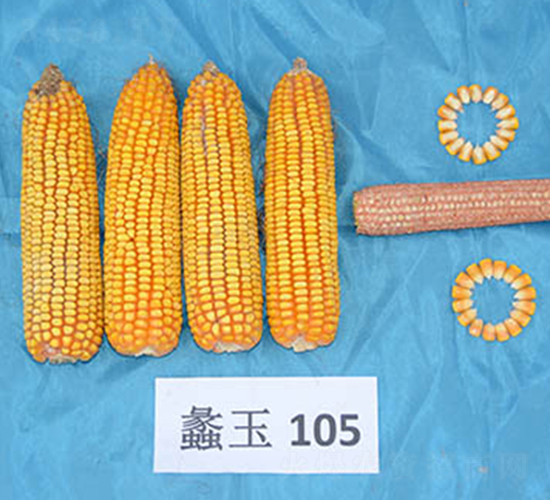 ���105-��������-���