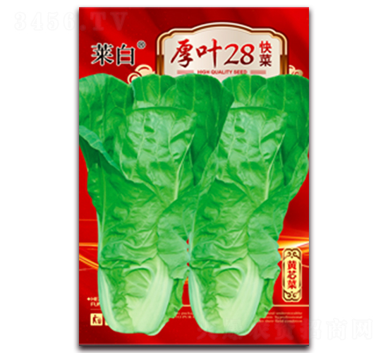 ��Ҷ28���-�������-������ҵ