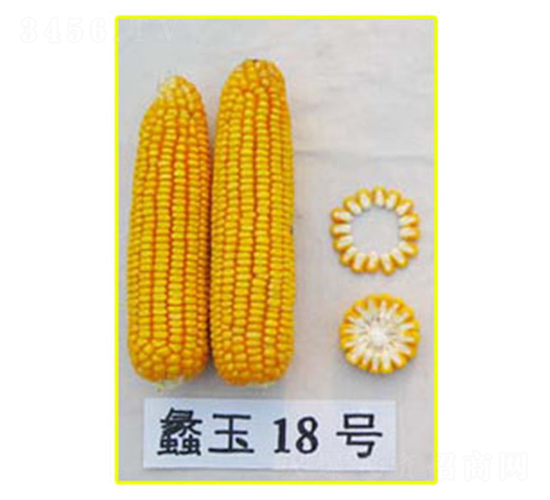 ���18��-��������-���