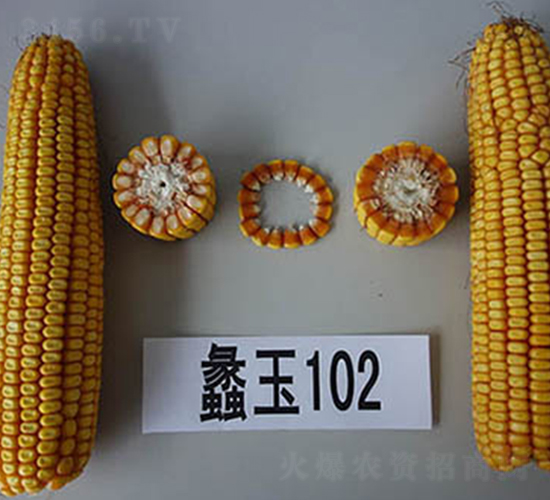 ���102��-��������-���