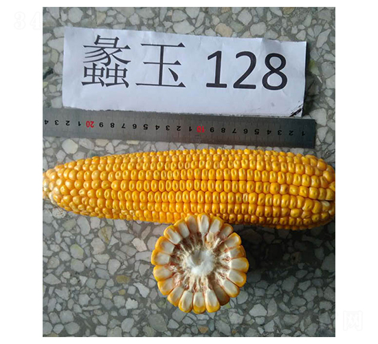 ���128-��������-���