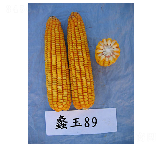 ���89-��������-���