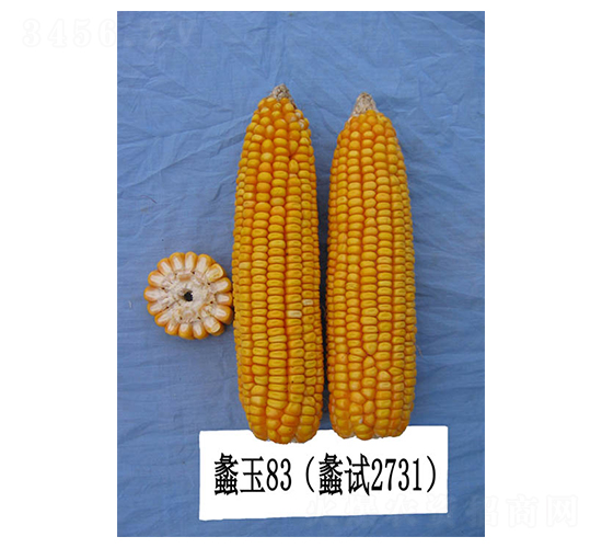 ���83-��������-���