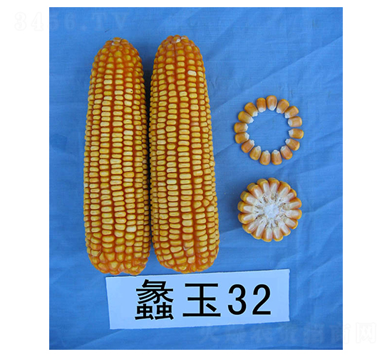 ���32-��������-���