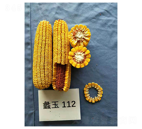 ���112-��������-���