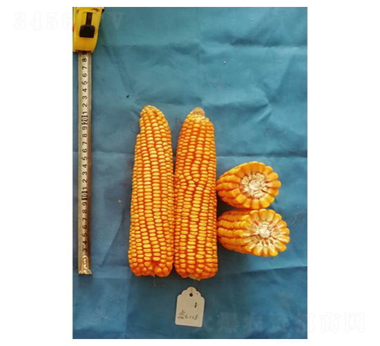 ���136-��������-���
