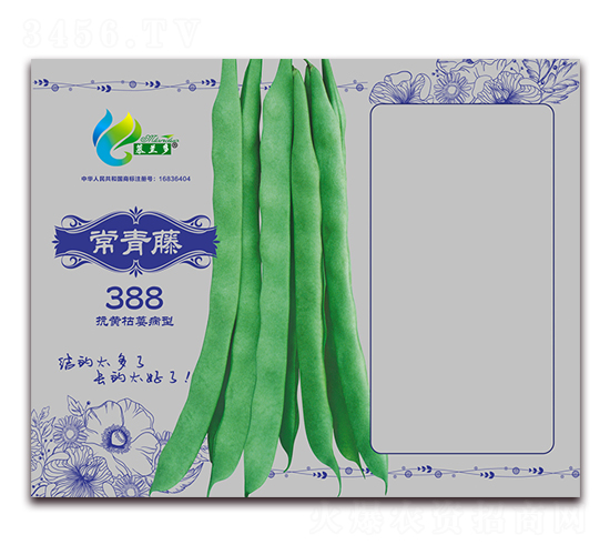 ������388-�ܶ�����-Ľ����
