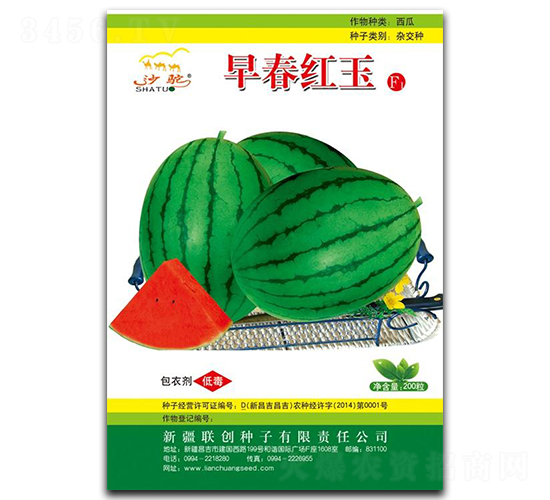 �紺����-��������-����