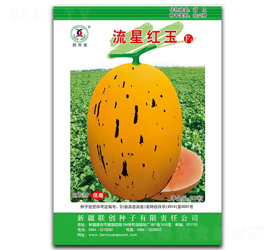 ���Ǻ���-�������-����