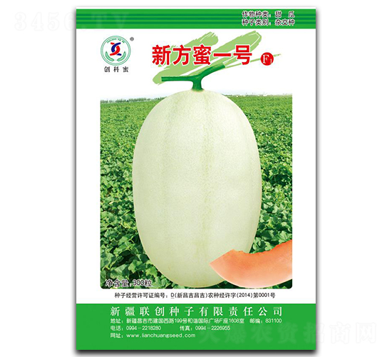 �·���һ��-�������-����