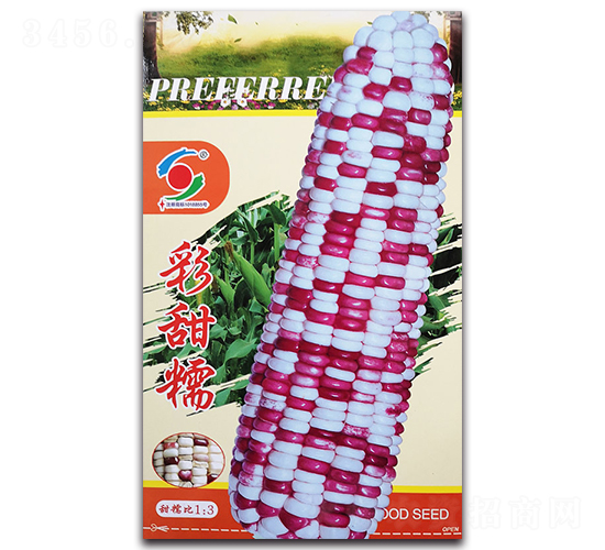 ��ʨ����Ŵ-Ŵ��������-������