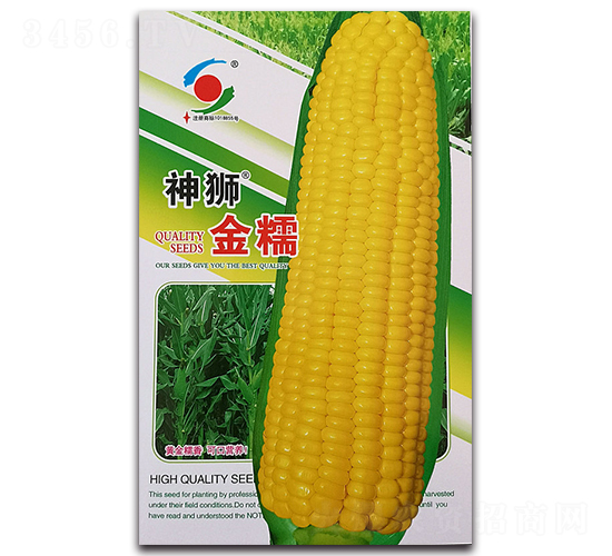 ��ʨ��Ŵ-Ŵ��������-������