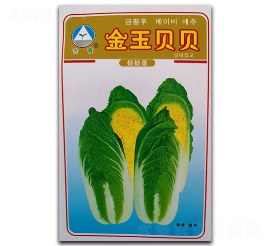 ���񱴱�-���޲�����-������