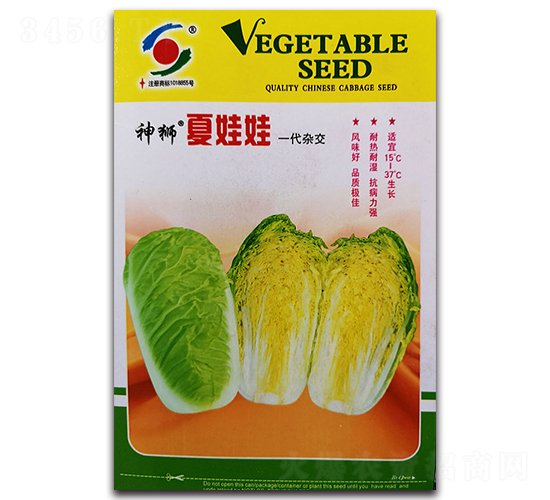 ��ʨ������-���޲�����-������