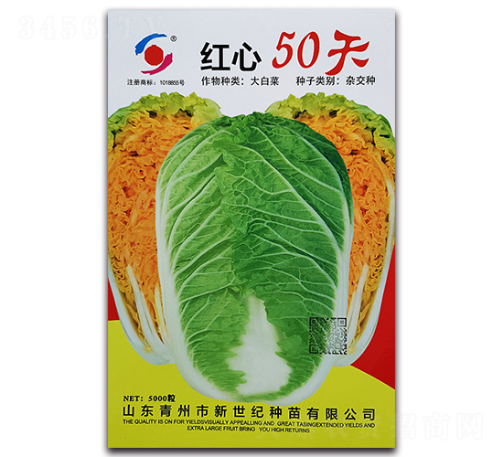 ����50��-��ײ�����-������