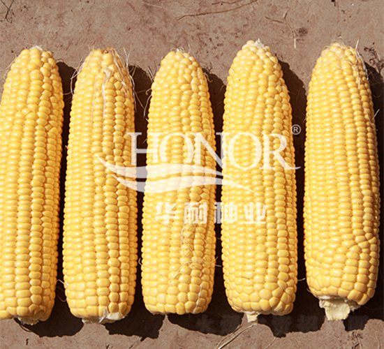 ��ũ��488-��������-������ҵ