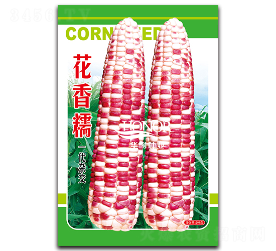 ����Ŵ-��������-������ҵ