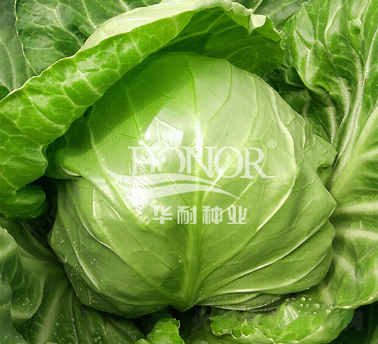 ����42-��������-������ҵ