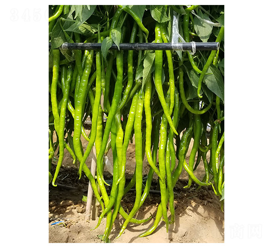 ����140-�߽�����-������ҵ