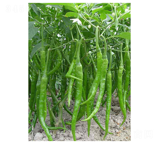������2��-�߽�����-������ҵ
